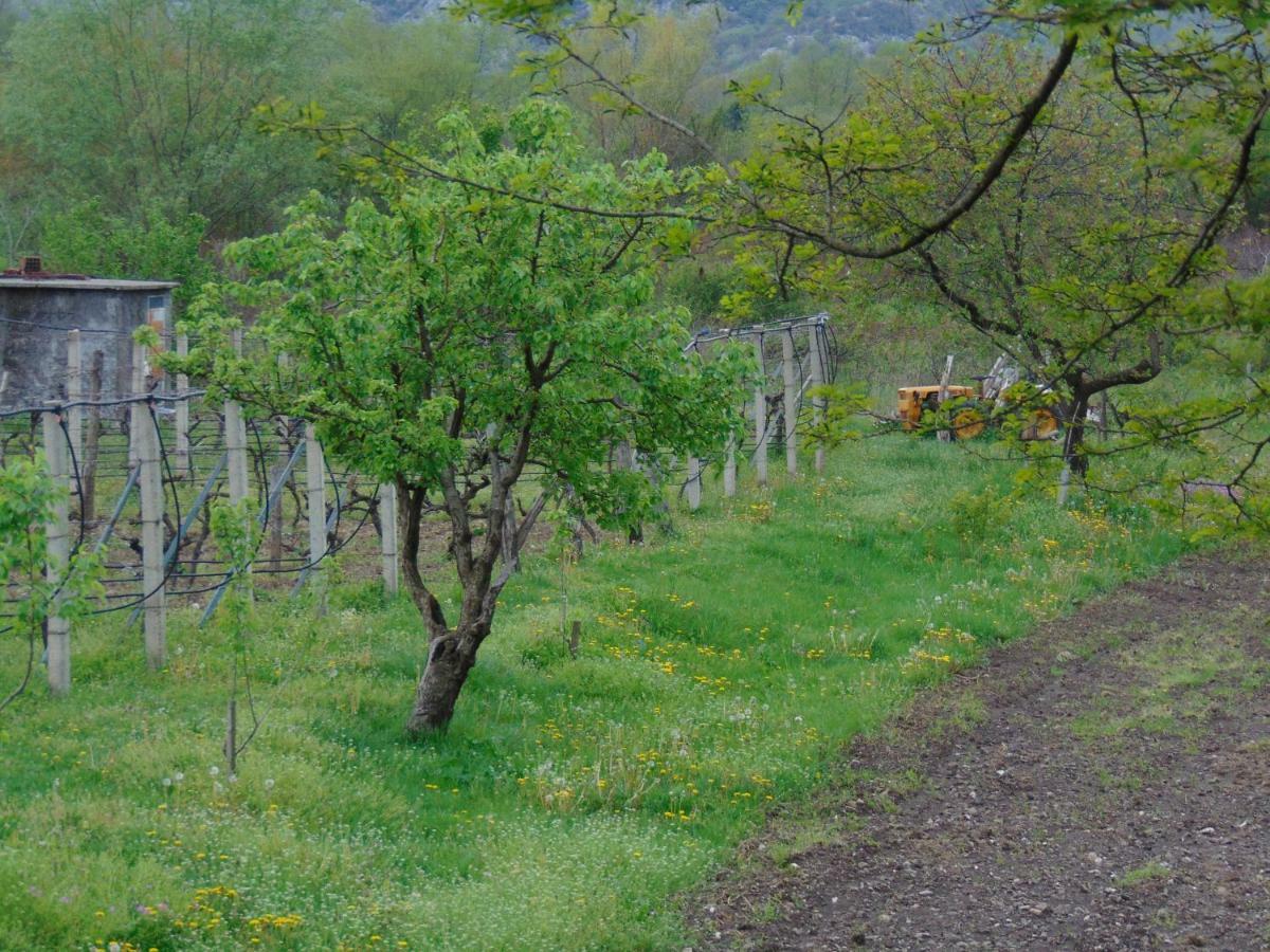 Studio And Winery Kalimut Virpazar Luaran gambar