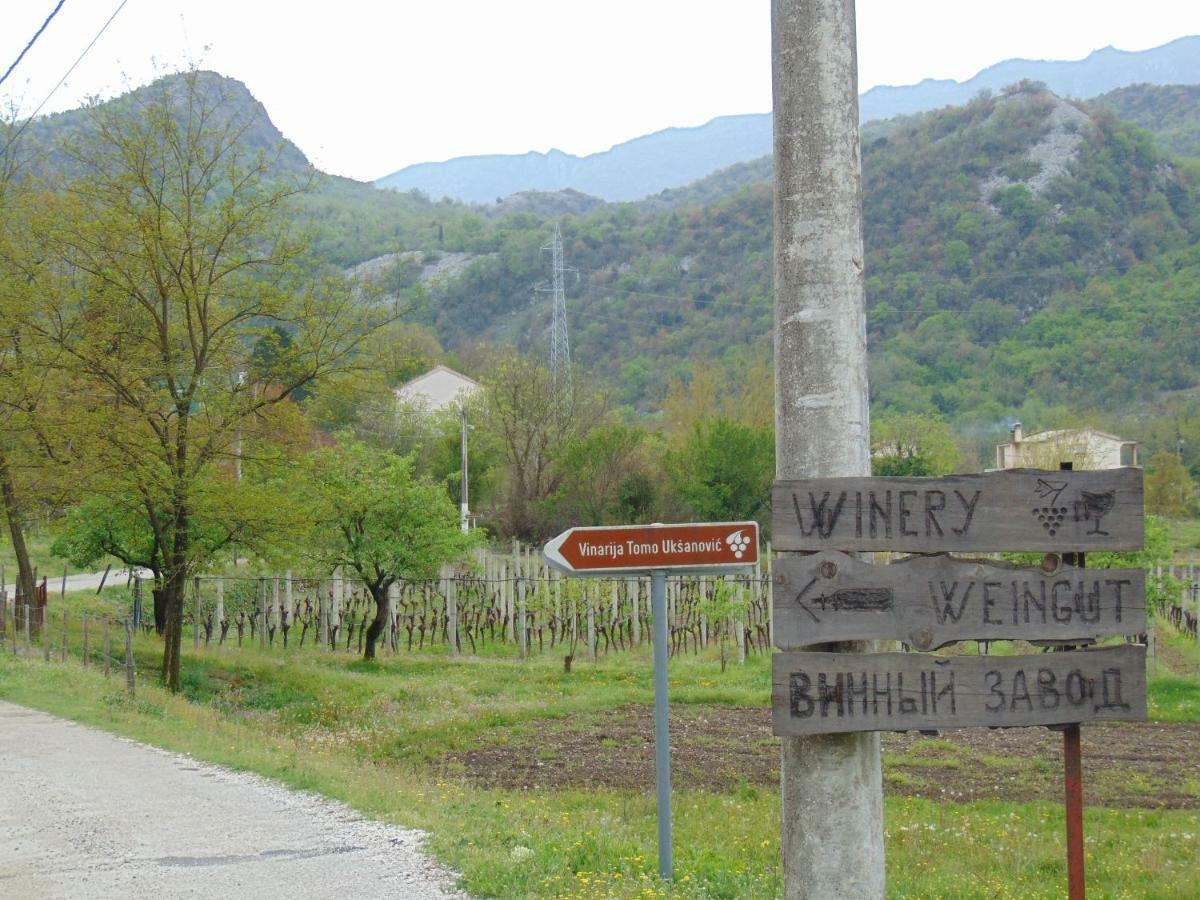 Studio And Winery Kalimut Virpazar Luaran gambar