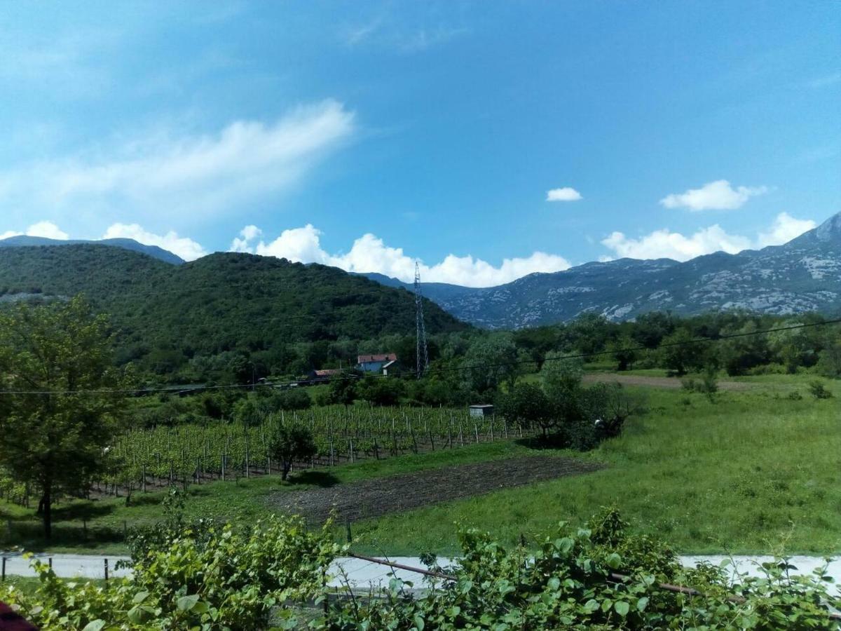 Studio And Winery Kalimut Virpazar Luaran gambar