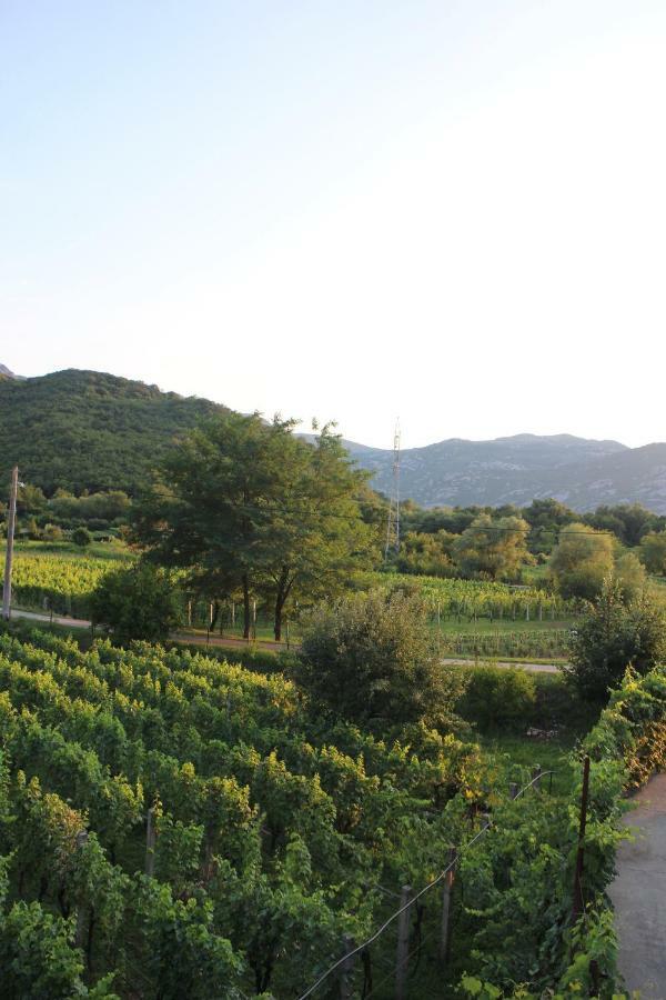 Studio And Winery Kalimut Guest House Virpazar Luaran gambar